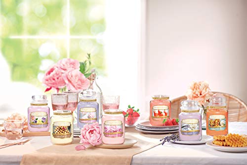 Yankee-Candle-White-Strawberry-Bellini-Scented-Classic-22oz-Large-Jar-Single-Wick-Candle-Over-110-Hours-of-Burn-Time Yankee Candle White Strawberry Bellini Scented Classic 22oz Large Jar Single Wick Candle Over 110 Hours of Burn Time