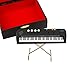 Dselvgvu Miniature Electronic Organ with Case Mini Musical Instrument Electric Keyboard Replica Collectible Figurines Dollhouse Accessories Model Home Decoration Display Ornament (5.51