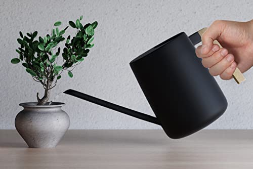 HB Design Co. Indoor Watering Can with Long Spout - 35oz Black Stainless Steel Watering Can for Indoor Plants - Image 4