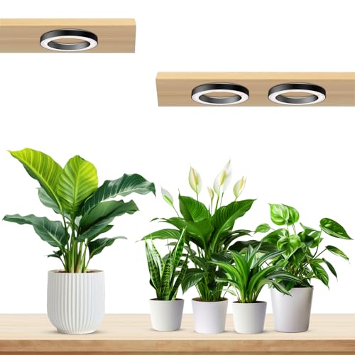 Wiaxulay Ceiling Plant Grow Light