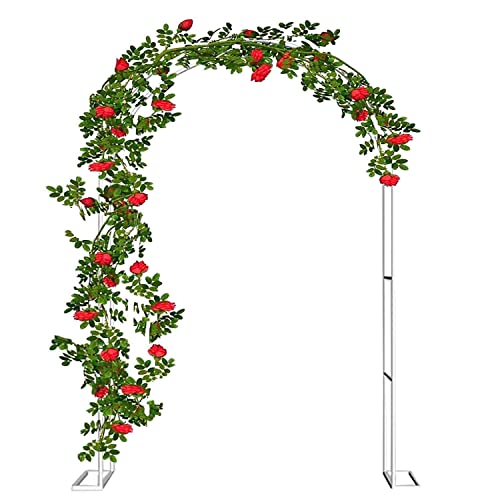 Arche pour plantes grimpantes et pergola décorative blanche