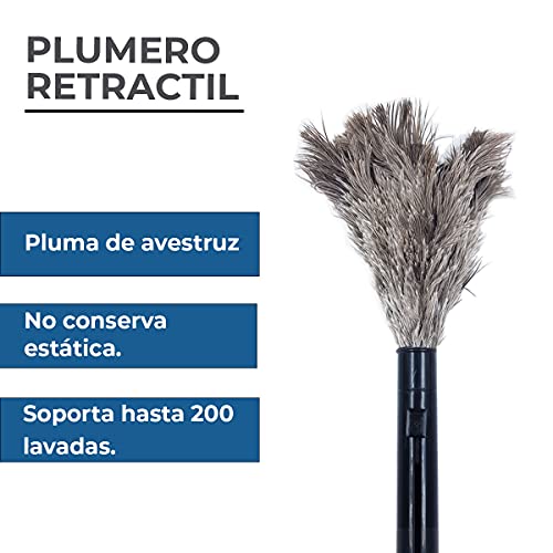 Encuentra la mejor selección de Plumero al mejor precio. 27 Imagen adicional