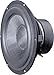 Visaton W200S-8 8" Woofer with Treated Paper Cone 8 Ohm
