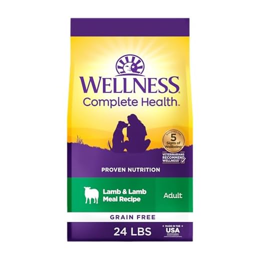 Wellness Complete Health Dry Dog Food, Grain Free, Natural, Lamb Recipe, (24-Pound Bag)