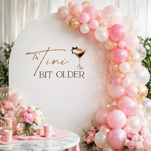 He Or She What Will Baby Be Balloon Arch Decoration for Backdrop, He Or She Gender Reveal Decorations Girl Or Boy Baby Shower Decal Sign Wall Sticker for Party, Balloon Arch (miss)