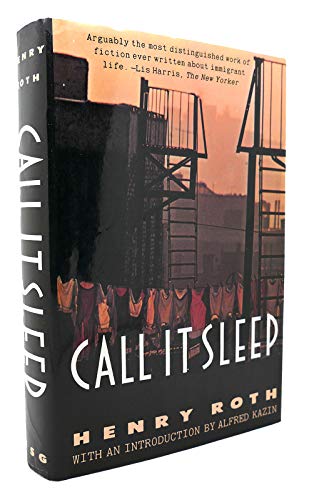 Call It Sleep 0374118191 Book Cover