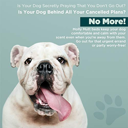 Molly Mutt Medium To Large Dog Bed Cover - Rocketman Print - Measures 27”X36”X5’’ - 100% Cotton - Durable - Breathable - Sustainable - Machine Washable Dog Bed Cover #TOP5