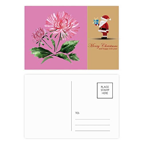Cartes postales aquarelles roses Chrysanthèmes Père Noël pour vœux d'hiver