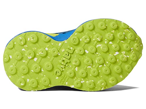 Native Shoes Robbie (Toddler)3