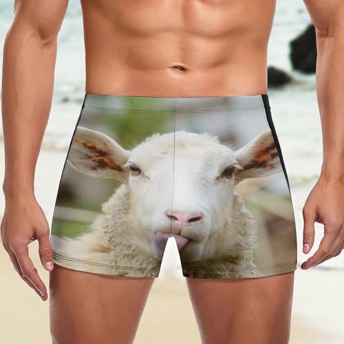 Short de bain homme séchage rapide Mouton Mignon boxer natation sport