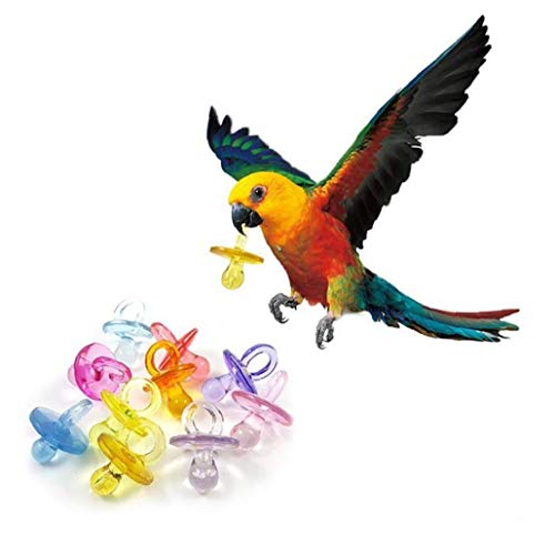 TOSSPER 50pcs Vogel Nippel-Spielzeug Bunte Weiche Vogel Chew Spielzeug Pet Dentitionspielzeug Parrot Biss Nippel Vögel Supplies Zubehör
