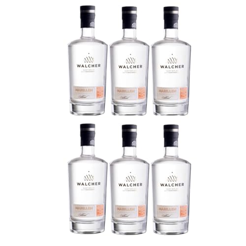 Walcher Marille Exclusiv Edelbrand süß Südtirol Italien inkl. FeinWert E-Book (6 x 0,7l)