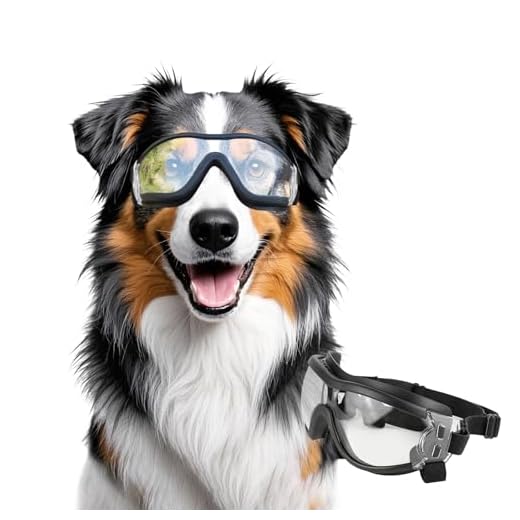 NAMSAN Sonnenbrille für Hunde