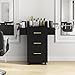 4ever2buy Rolling Salon Station for Hair Stylist, Salon Trolley Cart with with Wheels, Hair Stylist Beauty Barber Station, 6 Hair Dryer Holders & 3 Drawers, Black and Gold