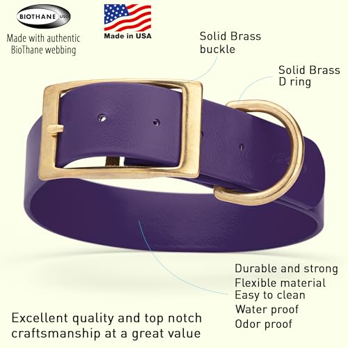 Image of Viper Biothane Heavy Duty Waterproof Dog Collar Strong Coated Nylon Webbing w /Solid Brass Hardware Odor-Proof Easy to Clean High Performance Fits Small Medium or Large Dogs, Violet Purple