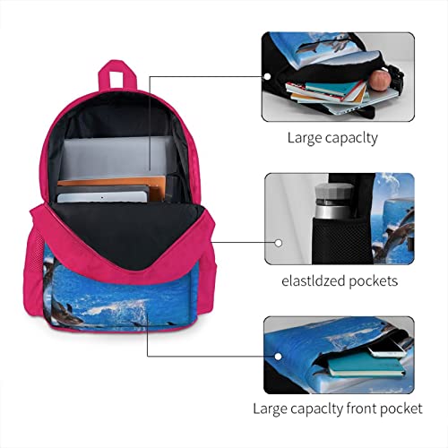 Sac à dos ordinateur portable dauphin protégeant votre dos à la fac - 4