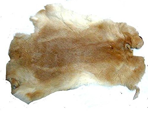 Natural Ginger Whiter Colored Top Grade Rabbit Fur Pelt Skin Taxidermy