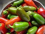 Pepper HOT Jalapeno Early Great Heirloom Vegetable by Seed Kingdom (4,000 Seeds)