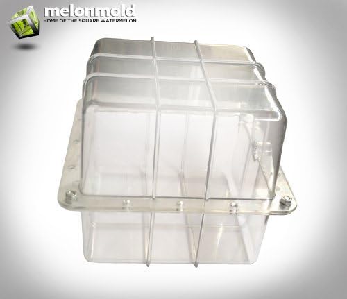 Melonmold Square Watermelon Mold for Making Cubed Watermelons