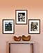 Timeless Frames 12x16 Inch Fits 9x12 Inch Photo Supreme Solid Wood Wall Frame, Honey