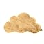 Tan Camel