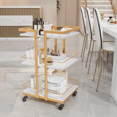 Omysalon Esthetician Cart With Wheels Utility Salon Rolling Trolley, Gold Mobile Storage Organizer For Beauty Spa Cosmetology Massage, Tattoo Manicure Facial Tool Holder Station #TOP1