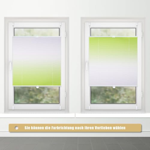 Buseu Plissee Klemmfix ohne Bohren 70x110cm Grün Faltrollo Plisseerollo – Ansicht 5