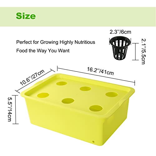 MYFULLY Hydroponic System Growing Kit | Plants Herb Garden Starter Set DIY Self Watering Indoor Hydroponics Tools with Large Bubble Stone Rockwool Bucket Air Pump (6 Sites) - Image 3