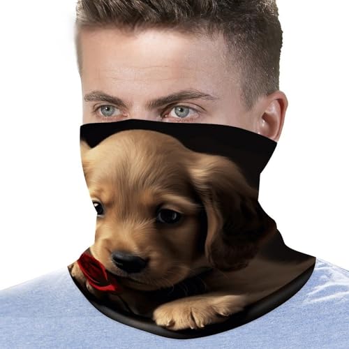 Neck Gaiter Face Mask Men Women, Cute Parrots Face Mask Scart Cover for Dust Wind Sun Protection3