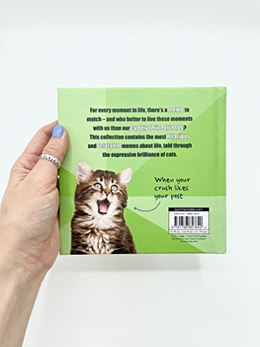 The Best Cat Memes Ever - Image 5