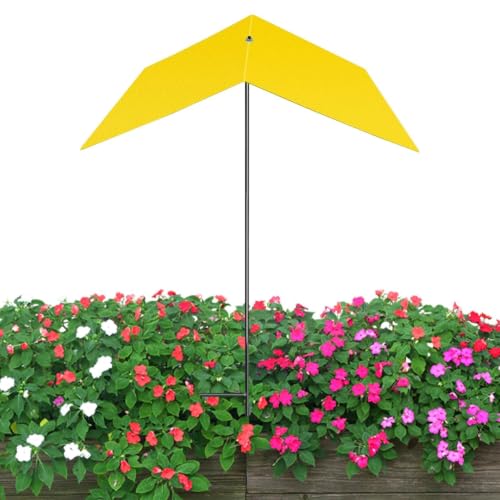Sombrilla para plantas decorativas en terrazas y cafeterías urbanas 7