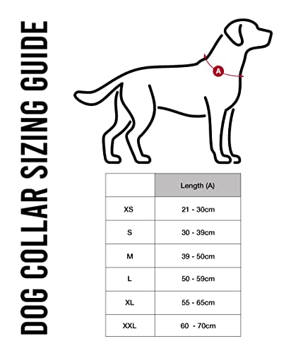 LeMieux Henley Webbing Dog Collar in Black, Outdoor Pet Everyday Walking Neckband - Image 2