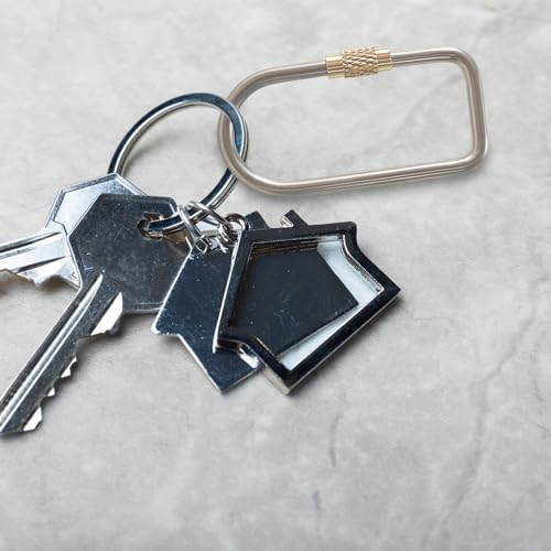 Image of 2 Pcs Titanium Locking Carabiner Titanium Alloy U-Shaped Key Chains Rings Buckles for Indoor Outdoor Use
