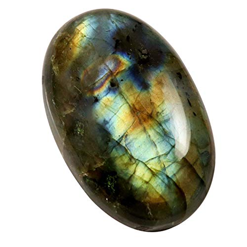 DENMOUS ���u���h���C�g �I�[�o�� �V�R��� ���[�X �J�{�V���� 63.5�J���b�g Ku24-B0831JRPGG