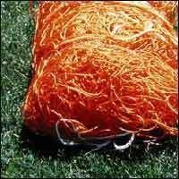 Stackhouse Junior Soccer Net