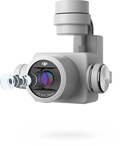 DJI Phantom 4 Pro with One extra battery : Amazon.in: Toys & Games