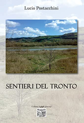 Sentieri del Tronto (Italian Edition)