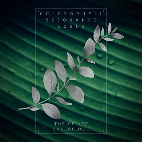 The Relief Experience