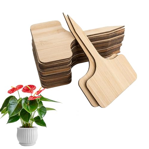 40 Pezzi Etichette Per Piante, Bambù Pianta, Accessori da Giardino, Etichette a Forma di T, Cartellini per Impermeabili, Adatte per Fiori, Targhette Erbe, Segna Verdure Orto
