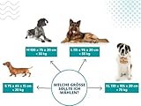 Dogs4Life Hundebett XL | Hundebett für sehr große Hunde | Orthopädisch | Hundekissen | Waschbar | Outdoor | Mit Rand | Wasserabweisend 130x 105 cm (XL, Aschgrau mit Silb. Pfoten)