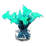 CYS EXCEL Glass Cylinder, Floating Candle Holders Flower vase