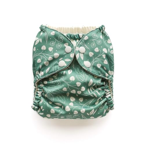 10 Best Baby Reusable Swim Diapers for Hassle-Free Water Fun 7 Esembly Reusable Swim Diaper Cover - Size 1