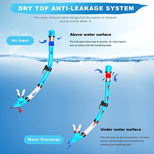 Zipoute Snorkel Snorkel Set, Dry Top Snorkeling Gear For Adults, Panoramic Anti-Leak And Anti-Fog Tempered Glass Lens, Adults Adjustable Snorkeling Set, Scuba Diving Swimming Training Snorkel Kit #TOP2