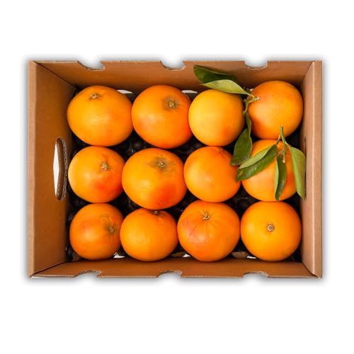 Caja de pomelos | Comprar pomelos frescos y dulces, cultivados de forma sostenible en Castellón (España) y enviados directos del agricultor (4 Kg)