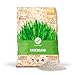 Produktbild Plantura Premium Rasensand, 15 kg für 7,5 m², reiner Quarzsand, feine Körnung von 0,3-1 mm