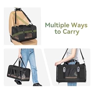 Petsfit 19x12x12 Pet Carrier for Large Cats (up to 20 lbs), Soft-Sided Small Dog Travel Carrier, Upgraded with Patented Buckle and Soft Padding, Ideal for Car Road Trips,Black Petsfit 19x12x12 Pet Carrier for Large Cats up to 20 lbs Soft Sided Small Dog Travel Carrier Upgraded with Patented Buckle and Soft Padding Ideal for Car Road TripsBlack