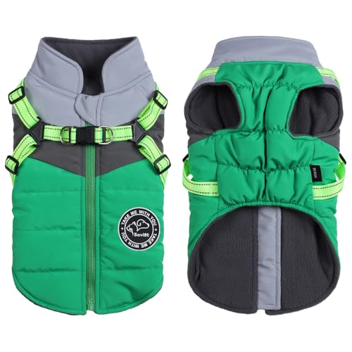 Savlot XXL Winter Puppy Coat, Green & Grey