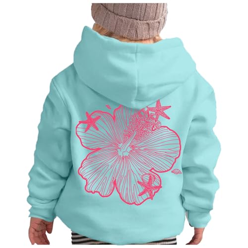 2025 Sudadera con capucha para niña, manga larga, sudadera suave con gráficos, sudadera con capucha para niños, ropa de top para niñas, camiseta de manga larga para niños, azul, 10-11 años