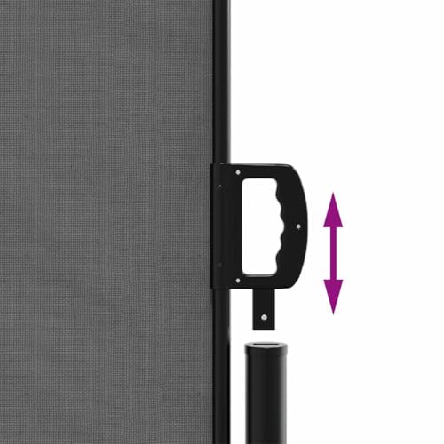 Store latéral extensible anthracite 220x1000 cm en polyester