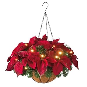 Christmas Artificial Hanging Flowers Basket, Pre Lit Artificial Poinsettia Floral Arrangement Hanging Baskets with LED Lights and Bristle Pine for Yard Porch Christmas Holiday Decor Christmas Artificial Hanging Flowers Basket Pre Lit Artificial Poinsettia Floral Arrangement Hanging Baskets with LED Lights and Bristle Pine for Yard Porch Christmas Holiday Decor
